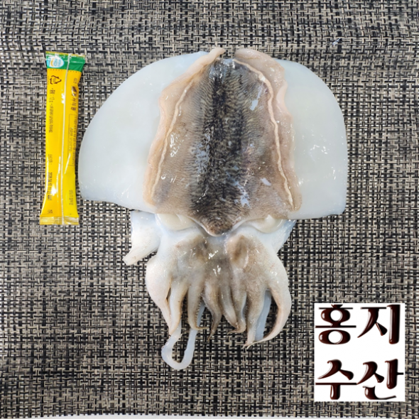 홍지수산  고흥 나로도 갑오징어 손질 냉동 1마리씩  낱개포장