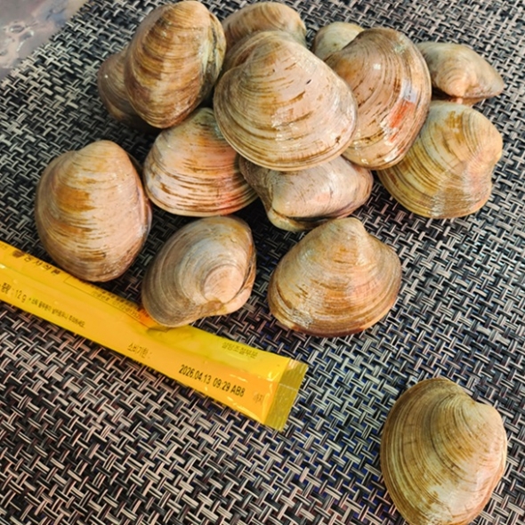 홍지수산 백생합1kg