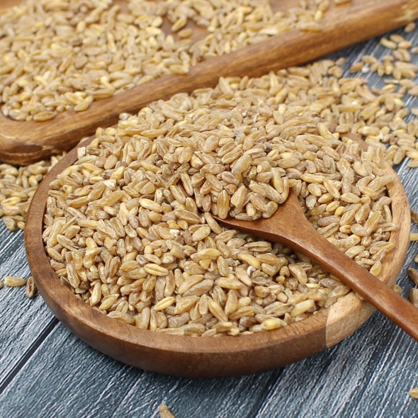 (25년산) 홍성농부의 국내산 호라산밀 1kg 카무트 국내산