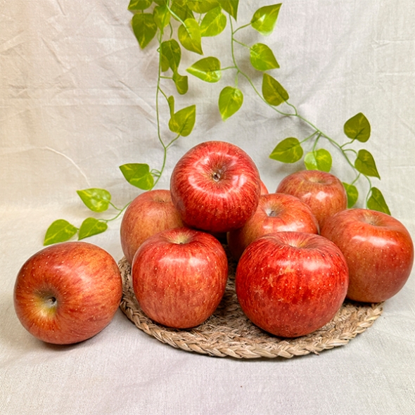 [만원의 행복] [사과캄스] 빨간 부사 사과 1.5kg 2kg 3kg 가정용 실속형