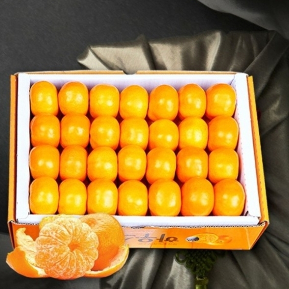 [선물용] 하우스감귤 3kg 로얄과(33-40과)