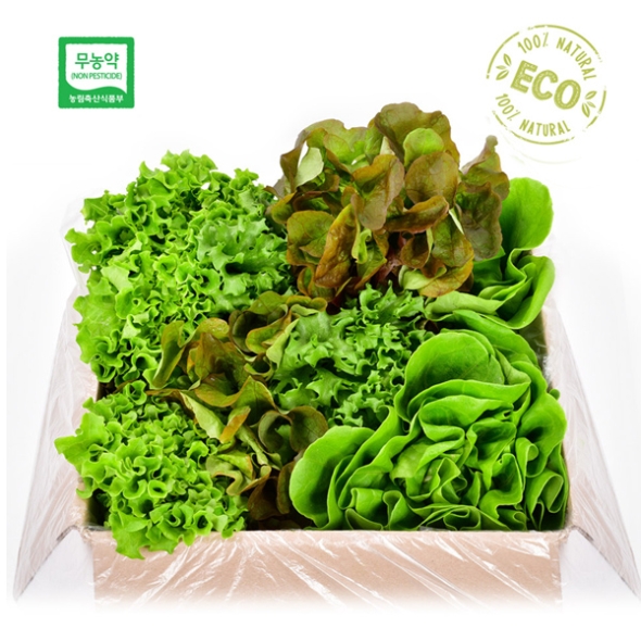 [무농약/수경재배] 유러피안 샐러드 야채 모듬세트 [1kg/4종]