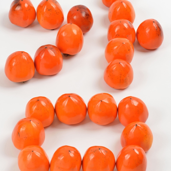 [김장철] 달콤하고 부드러운 과육가득 청도반시(푸)