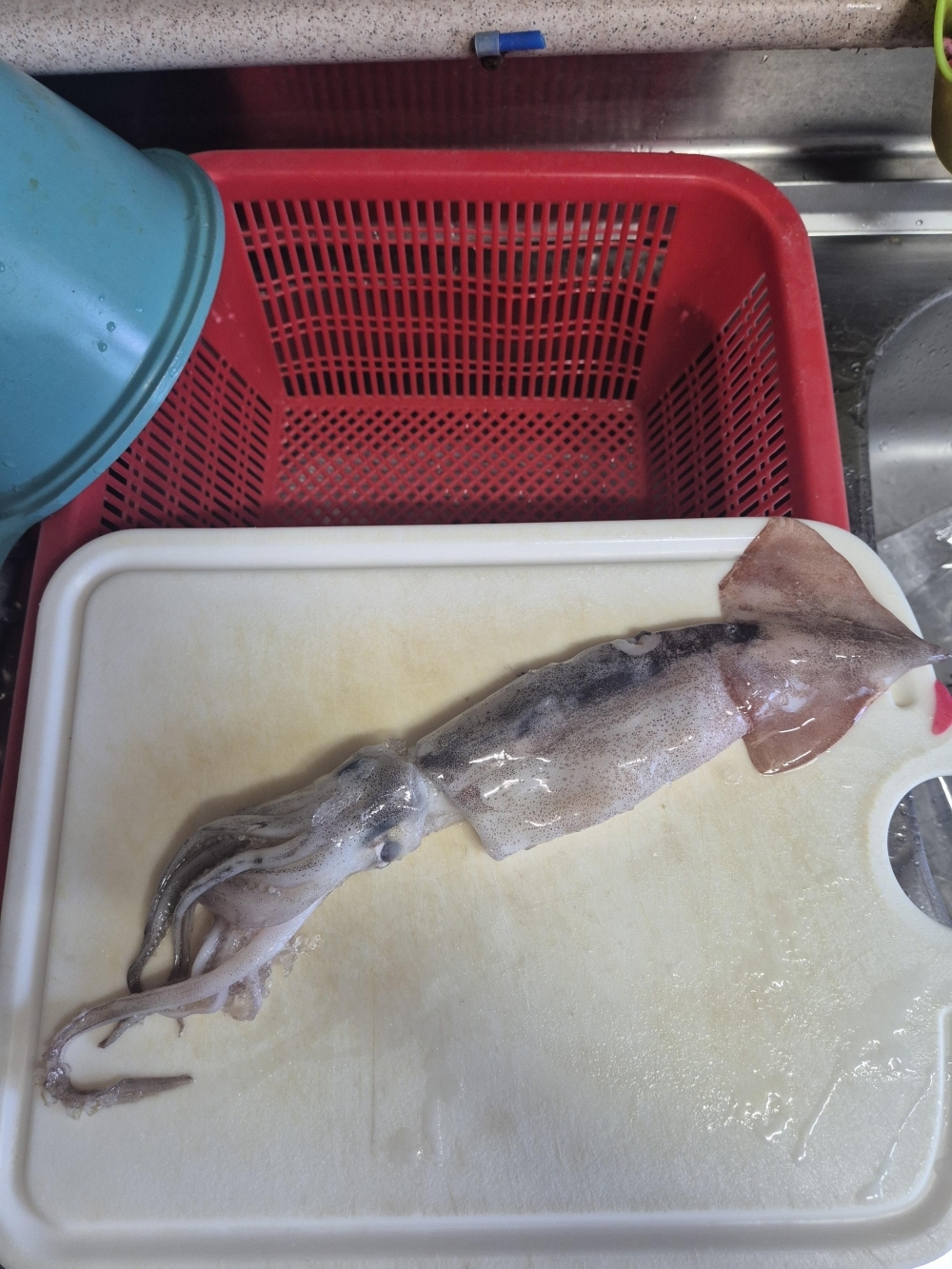 이순신수산 국내산 오징어 1kg 대 4-5미 신선포장 통찜