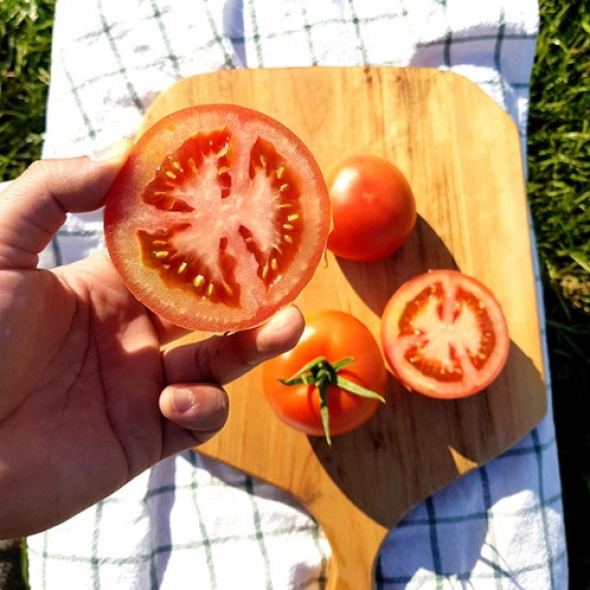 저칼로리 완숙토마토 로얄중대과 2kg/3kg/ 5kg