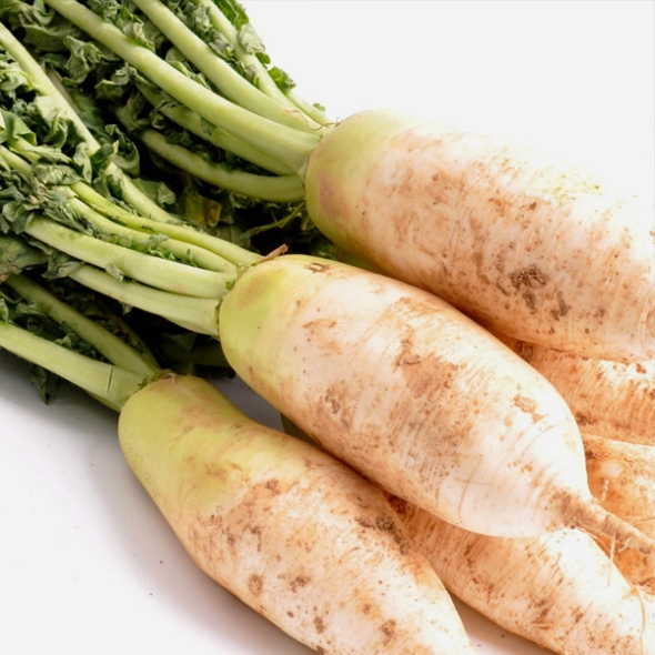 [농협] 한아름드린 신선 김장 다발무 8kg(특/6-8내외)