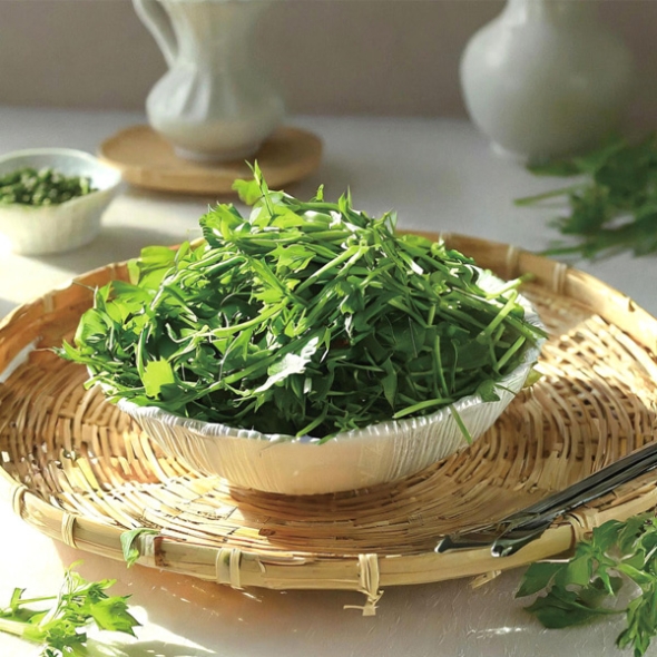 [농협] 한아름드린 제철미각 수경 미나리 1kg/2kg/4kg(특)