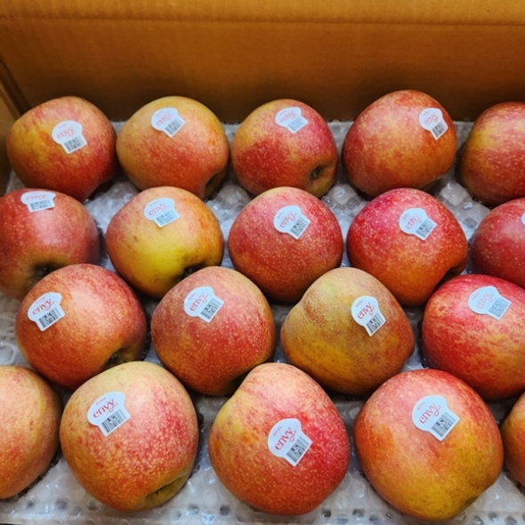 [만원의 행복][명품사과]달콤한 엔비사과 가정용 2kg/3kg/ 5kg