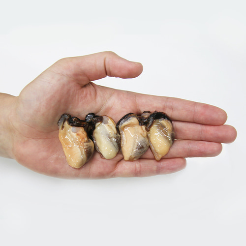 [11월제철!] 통영 거제 손질 홍합살 500g 육수용 홍합 탕 생홍합살