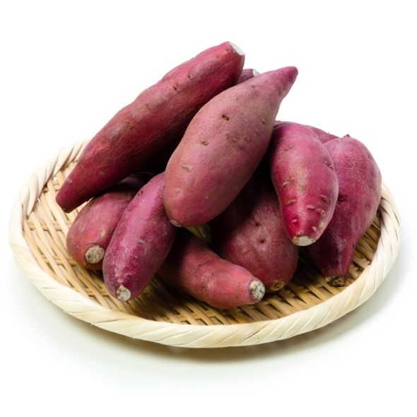 맛있는 고구마 (옵션선택)