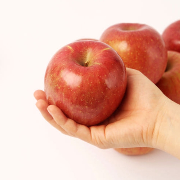 [특별할인] [클래식농원] GAP, 저탄소 괴산 부사 3kg 14~16과(소)