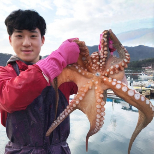 [力] 산지직송 통영 자연산 돌문어 500g 1kg 제수용