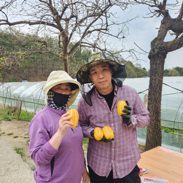 성주참외 고당도 참외 못난이참외 2kg 3kg 5kg 10kg 가정용 실속형