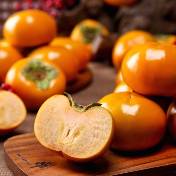 [농협] 한아름드린 가을제철 단감 6종 5kg/10kg