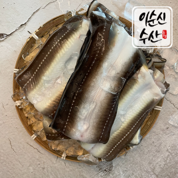 통영 자연산 바다장어 1kg 손질후 800g 국내산 붕장어 아나고