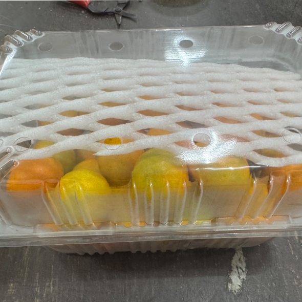 청정 제주 특품 하우스 감귤(푸)