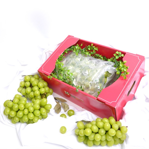 [농협] 한아름드린 샤인머스캣 선물세트 2kg내외(특3-4수)