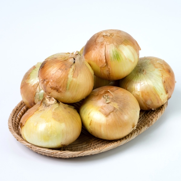 [농협] 한아름드린 양파 3kg/5kg/10kg (특/8cm내외)