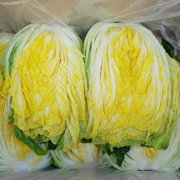 [예약배송] [HACCP 해남] 절임배추 절임배추 20kg