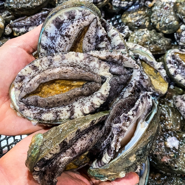 [명절브팜] 완도 활전복 금보자기싼 선물세트 1kg