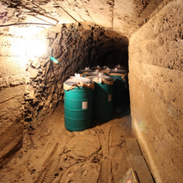 자연숙성 광천토굴 백명란젓 500g / 1kg 명란젓