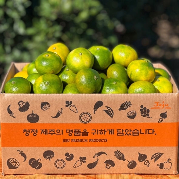 [만원의 행복] 꿀당도 타이벡 극조생감귤 제주감귤 실중량 2.5kg/4.5kg/9kg