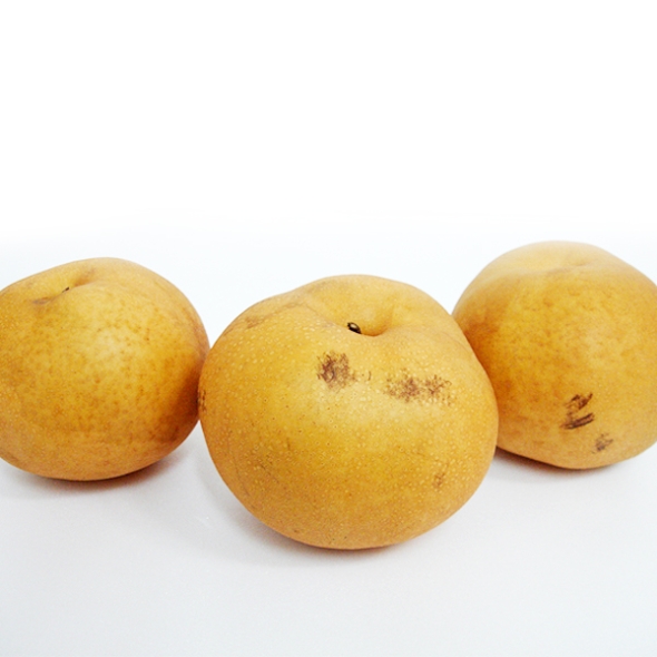 [만원의행복]흠집났지만 맛있는 김장용 실속배3kg(4~6개입)