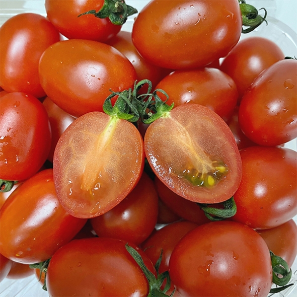 [만원의 행복][토마캄스] 대추 방울 토마토 2kg 3kg 5kg 중대과 로열과 혼합