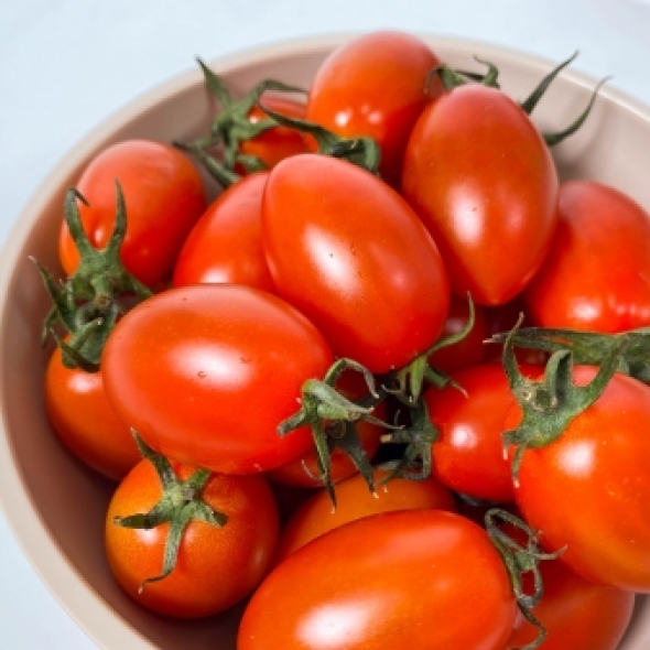 [고당도]스테비아 대추방울토마토 1kg(500g*2팩) 1.5kg(750g*2팩)2kg(500g*4팩)