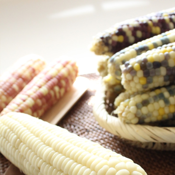  [자연속애] 중국산 냉동 찐 홍찰옥수수 10개/15개/20개/25개/30개(특대16-18cm내외)