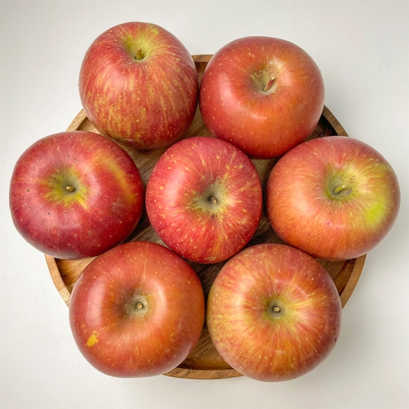 [김장철] 25년 [부사  사과] 가을을 시작하는 과일  새콤달콤 사과 (1kg/3kg/5kg)