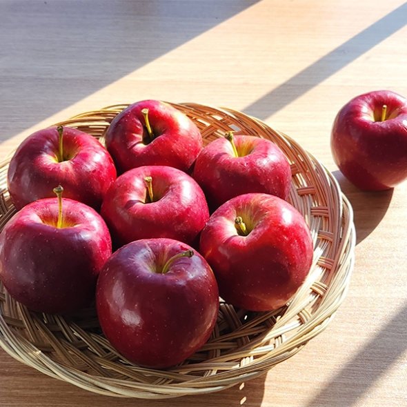[신한카드 할인] 국내산 프리미엄 루비에스 사과(푸)