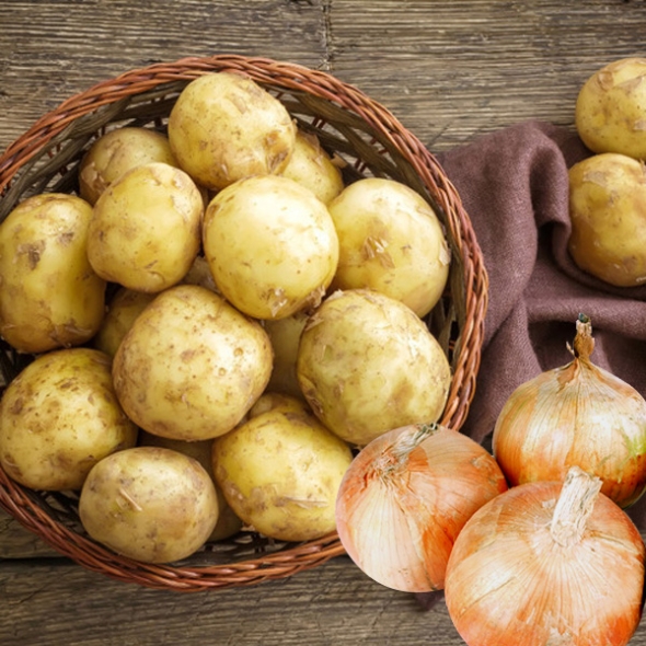 [농협] 한아름드린 수미감자 2kg/3kg/5kg/10kg (중대/개당60-100g)