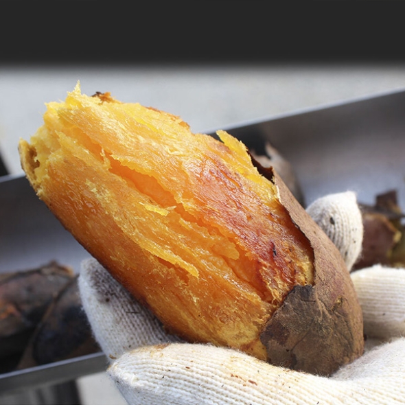 [자연속애] 안면도 호박고구마 3kg/5kg/7kg/10kg (한입40-60g내)