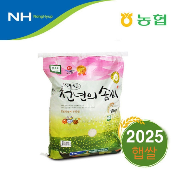 2025년 햅쌀 / 부안농협 천년의솜씨 신동진쌀 20kg / 당일도정