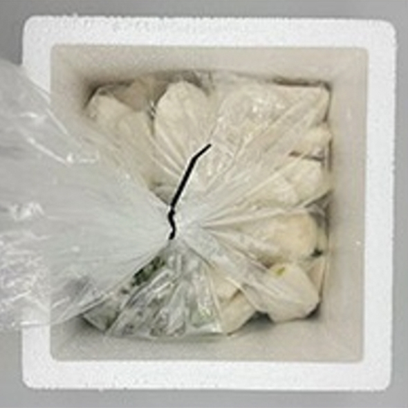 [김장철] 싱싱하고 아삭아삭한  알타리&초롱무