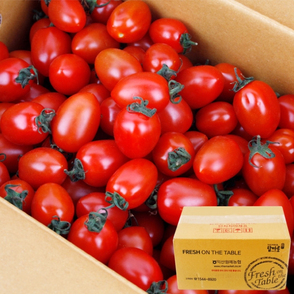 [농협공판장] 정성드린 대추방울토마토 4kg(특1-2번과)