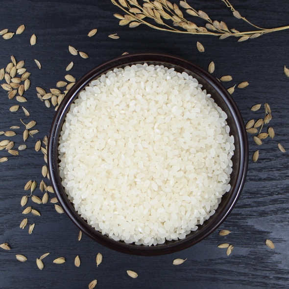 (당일도정) (25년산) 홍성농부의 진광미 4kg / 10kg 직접도정