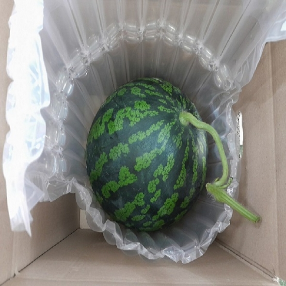 갑봉이네 산지직송 유명산지 고당도 수박 사이즈별