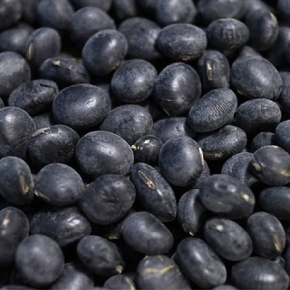 청정 해남 서리태 1kg