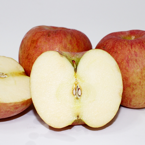 [만원의행복][가정용흠집사과] 2025년 햇 부사사과 2kg(8~10개입)