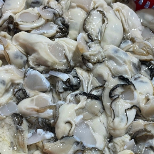  [만원의 행복] 산지직송 최상급 통영 깐 굴 1kg  버블세척 