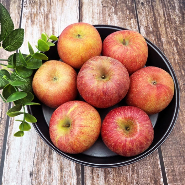 [산지직송] 경북 부사_고당도_산사과 [1kg-5kg]