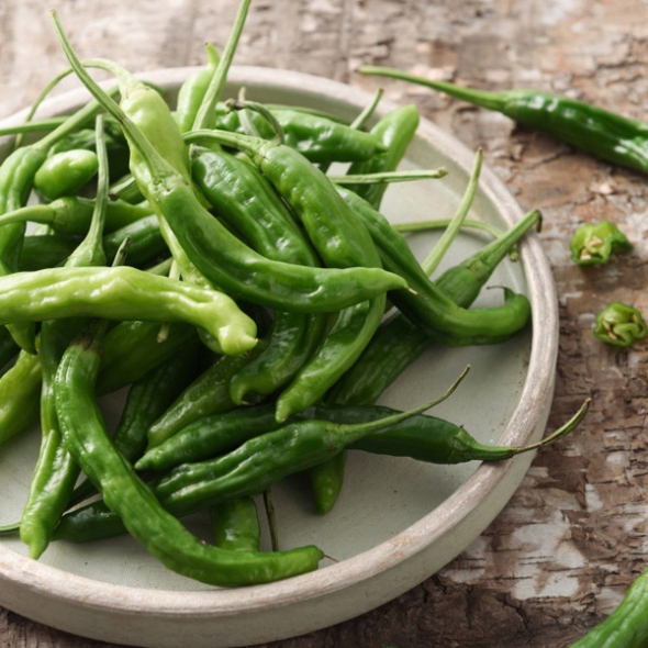 [농협] 한아름드린 신선 꽈리고추 1kg/2kg/3kg/4kg(특)