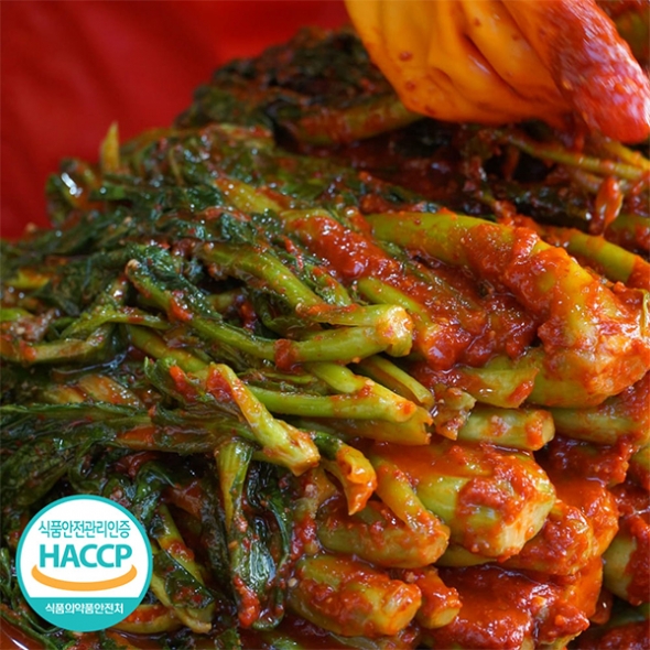 [김장철] 쌉쌀한맛이 일품인 돌산갓김치(푸)