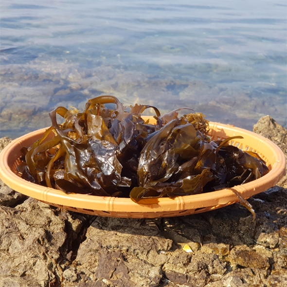 꼬들 꼬들 완전  맛있는  생미역
