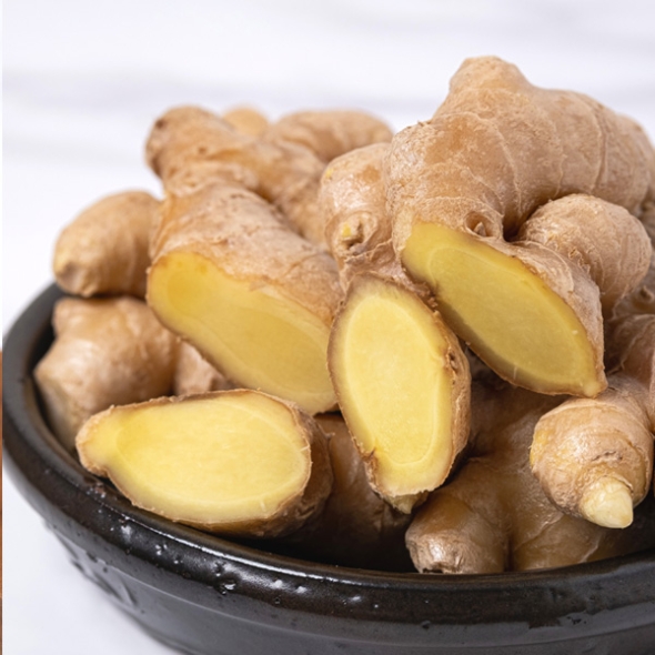 [농협] 한아름드린 신선 통 생강 500g/1kg/2kg/3kg(특)