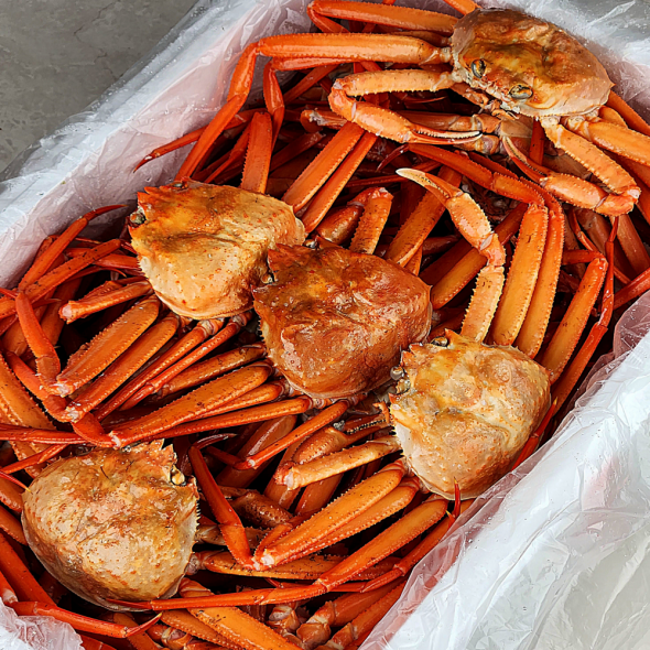 [신한카드 할인] 산지직송 구룡포 연지홍게  홍게제철  실속 가성비 3kg (10-12미)