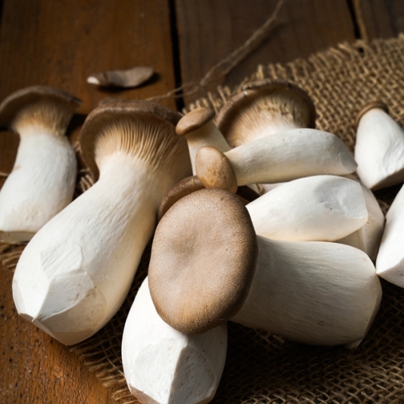 [만원의 행복] 국내산 무농약 새송이버섯 1kg/2kg 꼬마 상 특품