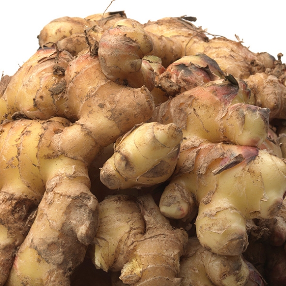 [농협] 한아름드린 신선 통 생강 500g/1kg/2kg/3kg(특)